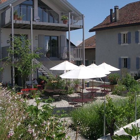 Le Coq Chantant Studios D'Hotes & Boutique Hotel St-Livres Saint-Livres Екстериор снимка