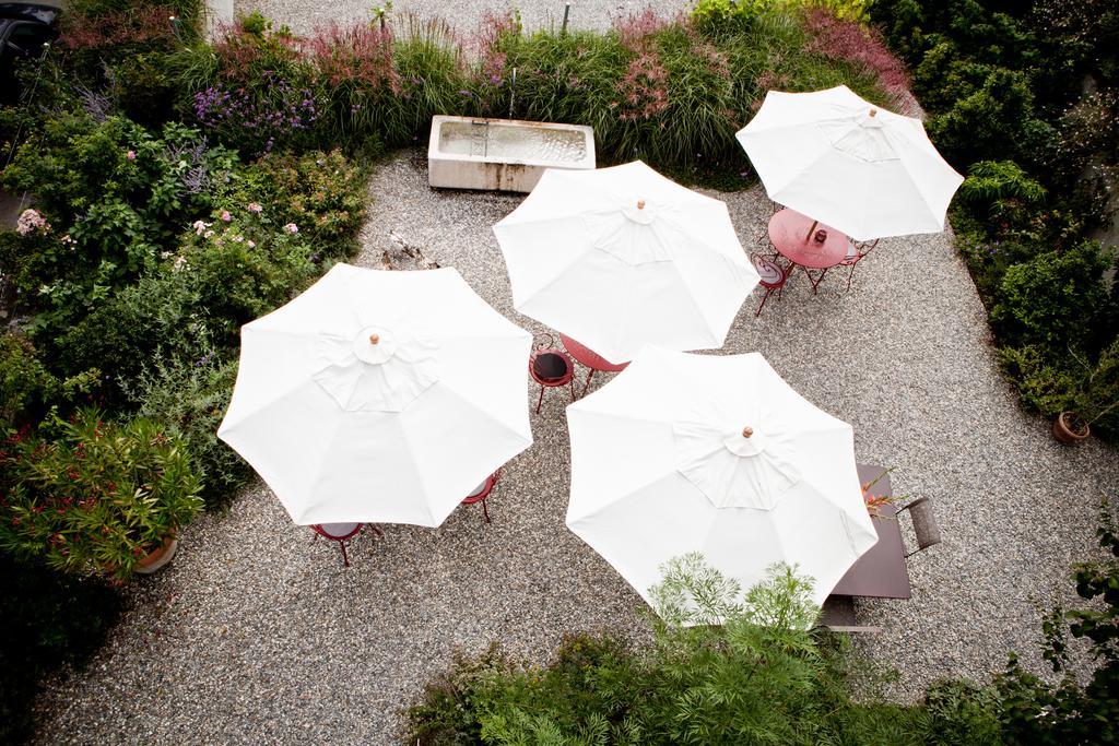 Le Coq Chantant Studios D'Hotes & Boutique Hotel St-Livres Saint-Livres Екстериор снимка