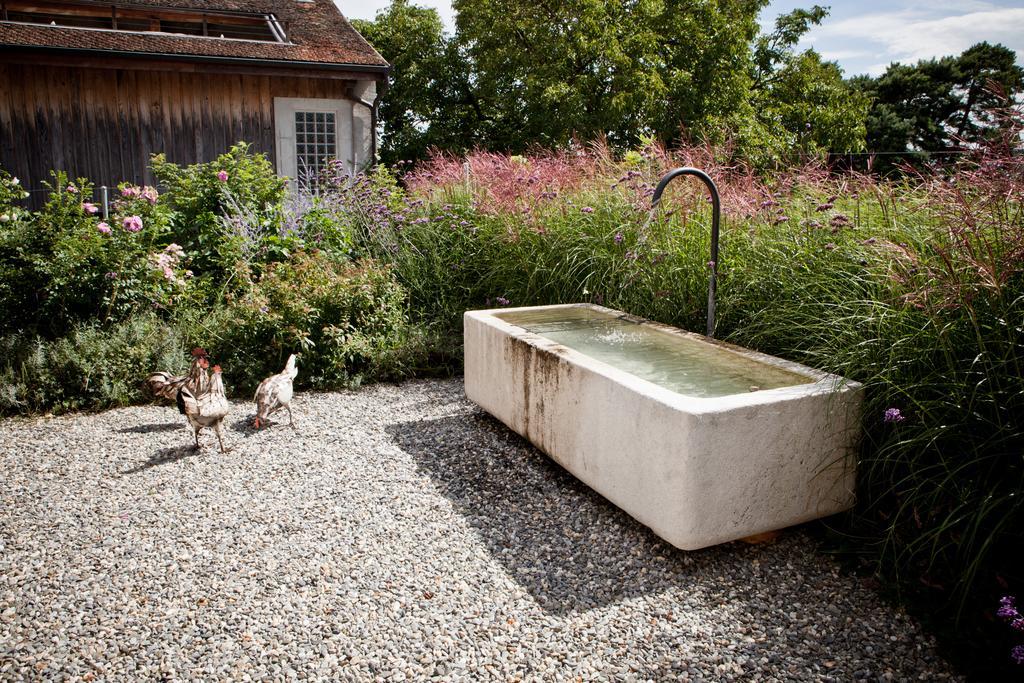 Le Coq Chantant Studios D'Hotes & Boutique Hotel St-Livres Saint-Livres Екстериор снимка