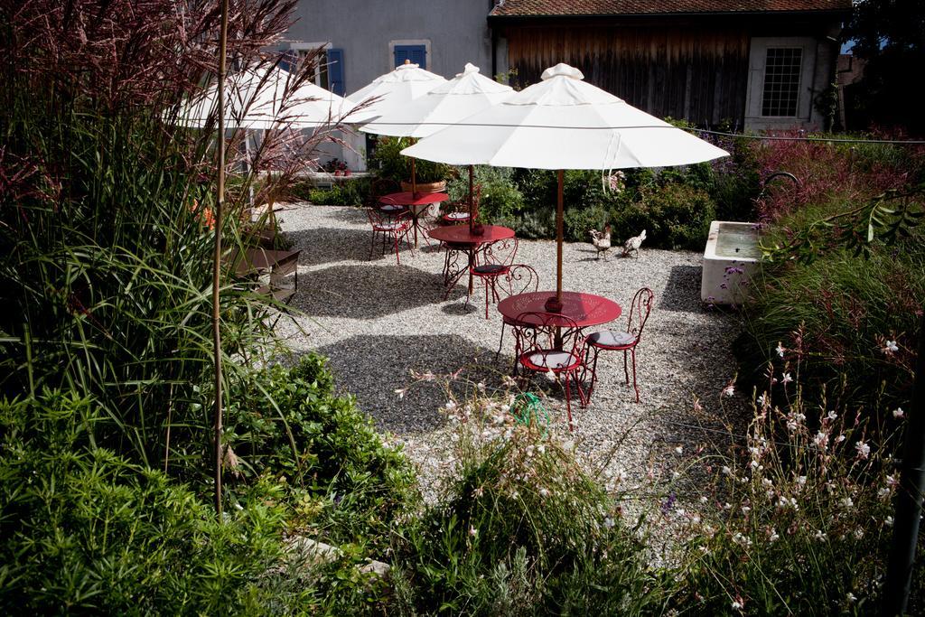 Le Coq Chantant Studios D'Hotes & Boutique Hotel St-Livres Saint-Livres Екстериор снимка