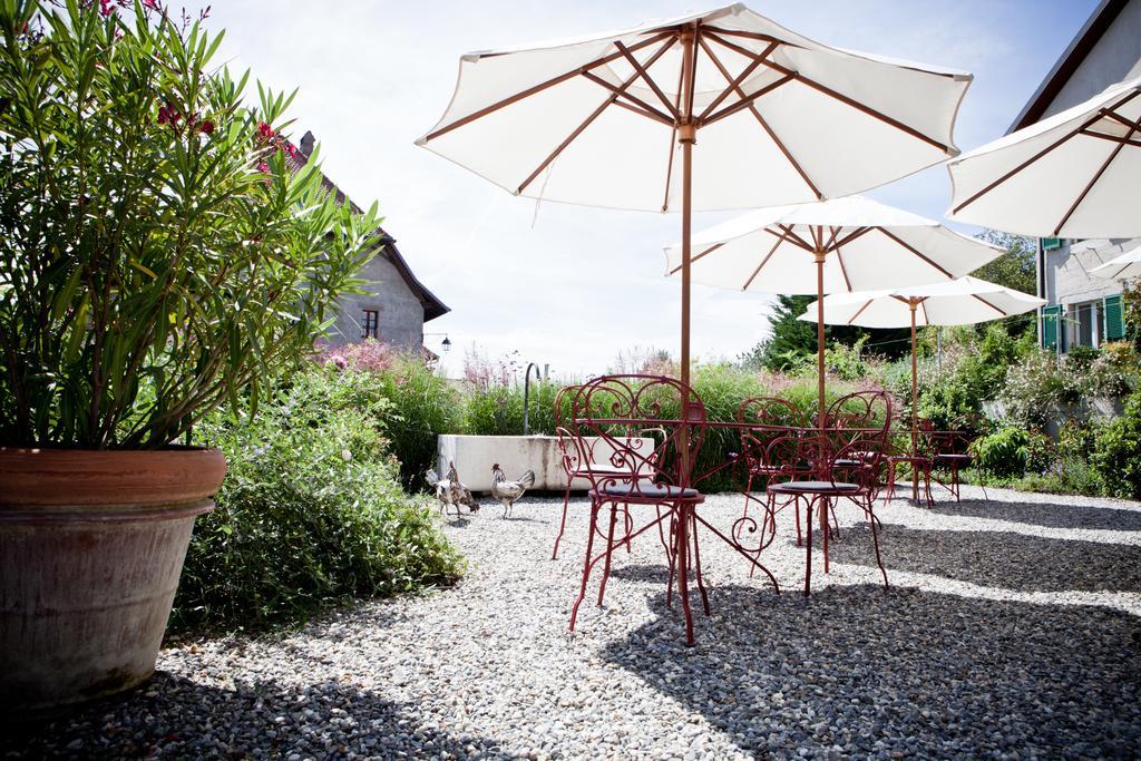 Le Coq Chantant Studios D'Hotes & Boutique Hotel St-Livres Saint-Livres Екстериор снимка