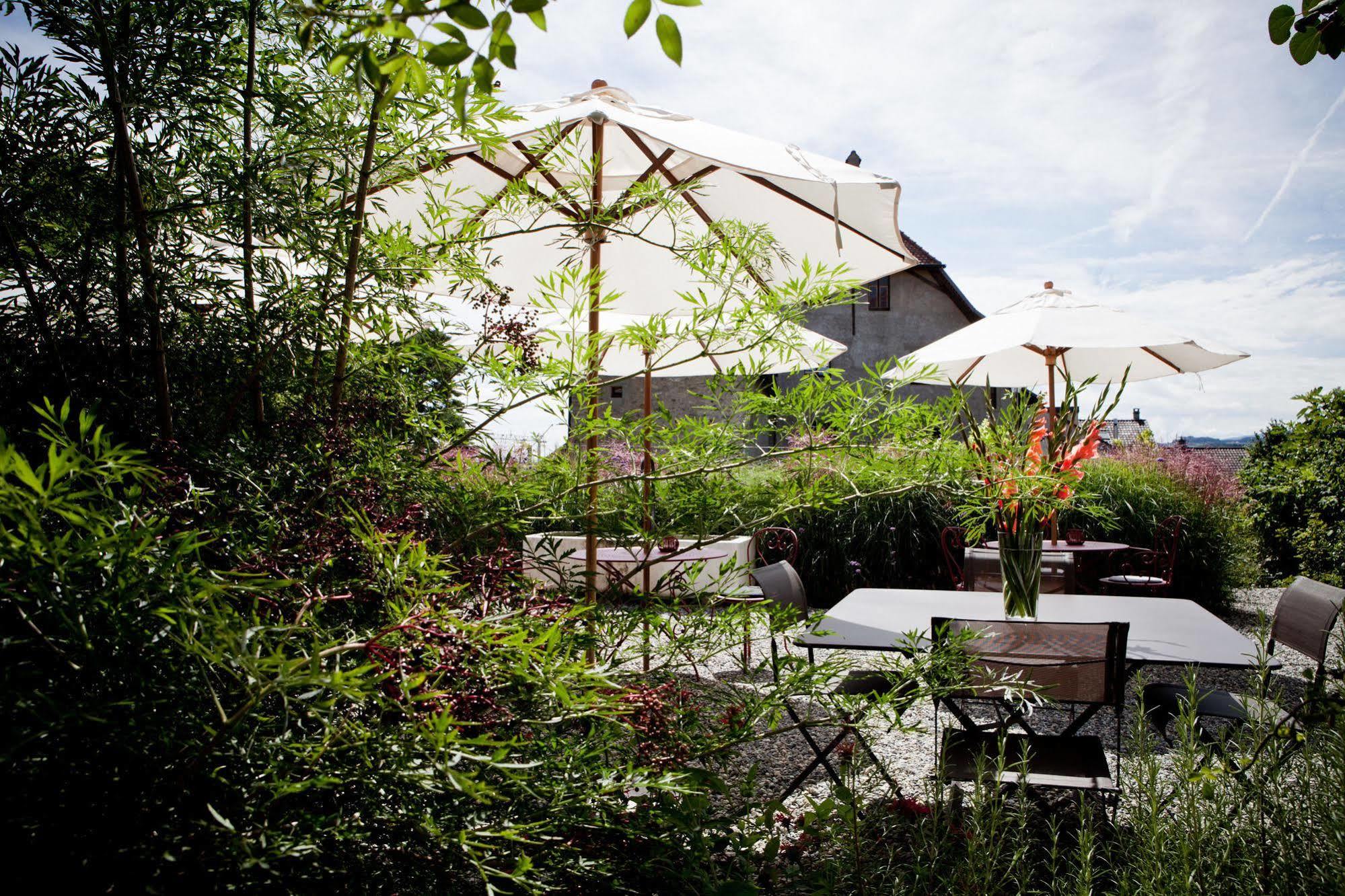 Le Coq Chantant Studios D'Hotes & Boutique Hotel St-Livres Saint-Livres Екстериор снимка